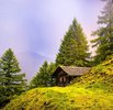 The Humble Beacon